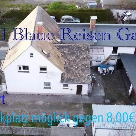Blaureisen *